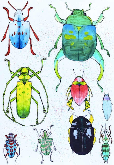 Rainbow/Colorful Watercolor Series Bugs